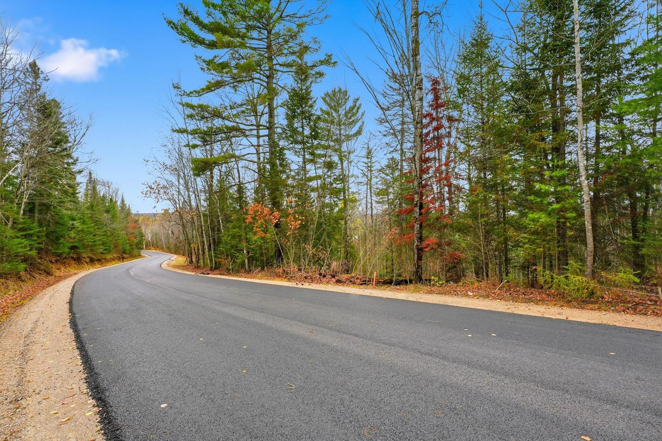 Overall view - 247 Ch. Du Lac-À-Larche, Cayamant, QC