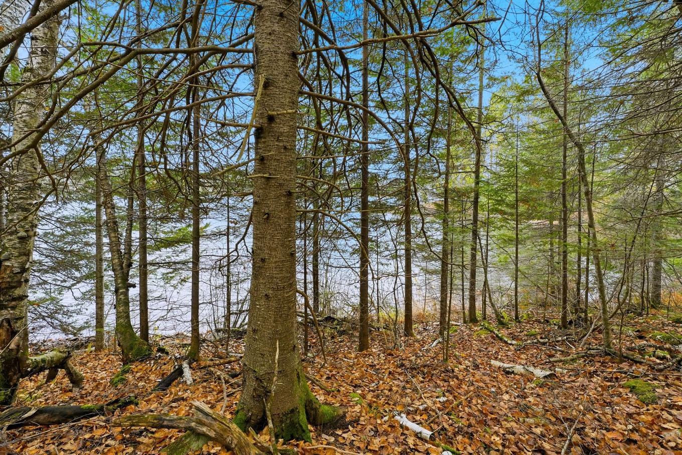 Water view - 247 Ch. Du Lac-À-Larche, Cayamant, QC