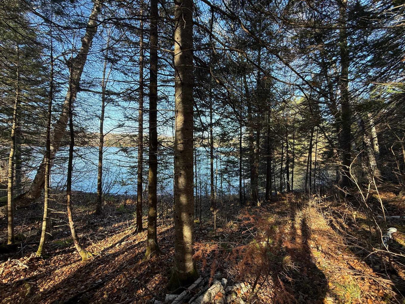 Water view - 247 Ch. Du Lac-À-Larche, Cayamant, QC