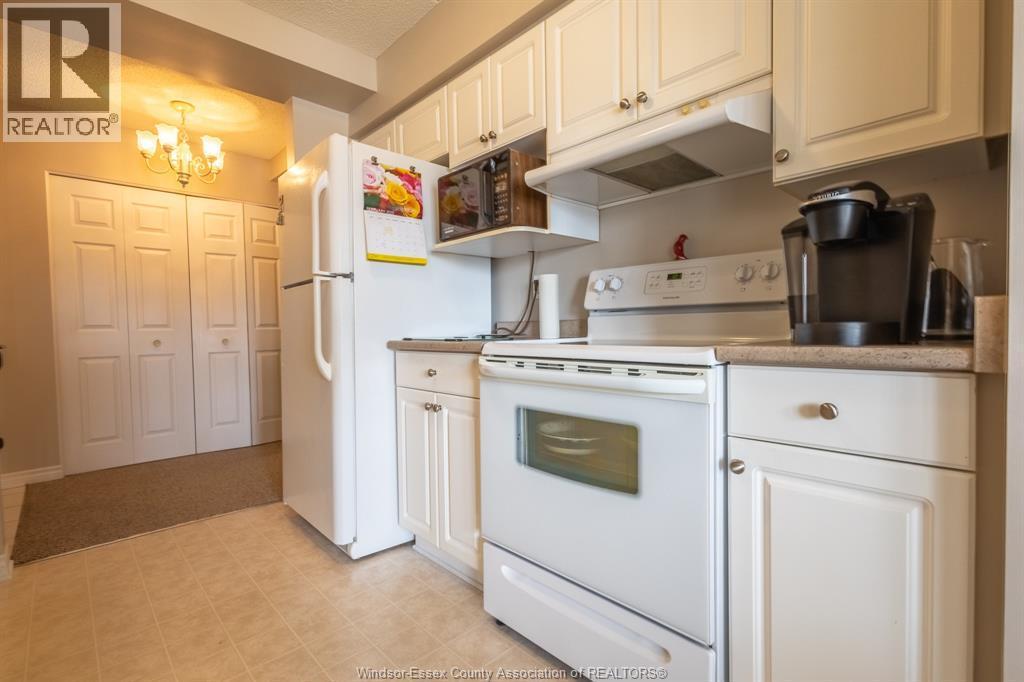 99 Robson Unit# 203, Leamington, ON - Indoor Photo Showing Kitchen
