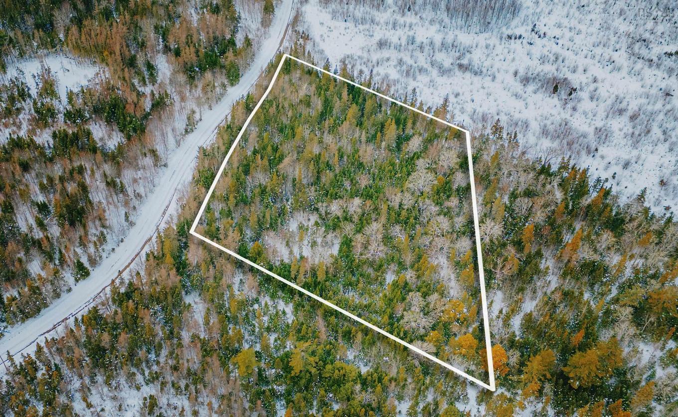 Cameron Road, Orangedale, NS