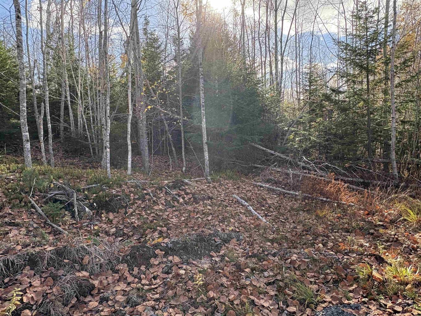 Lot 8 Shady Lane, Loch Broom, NS