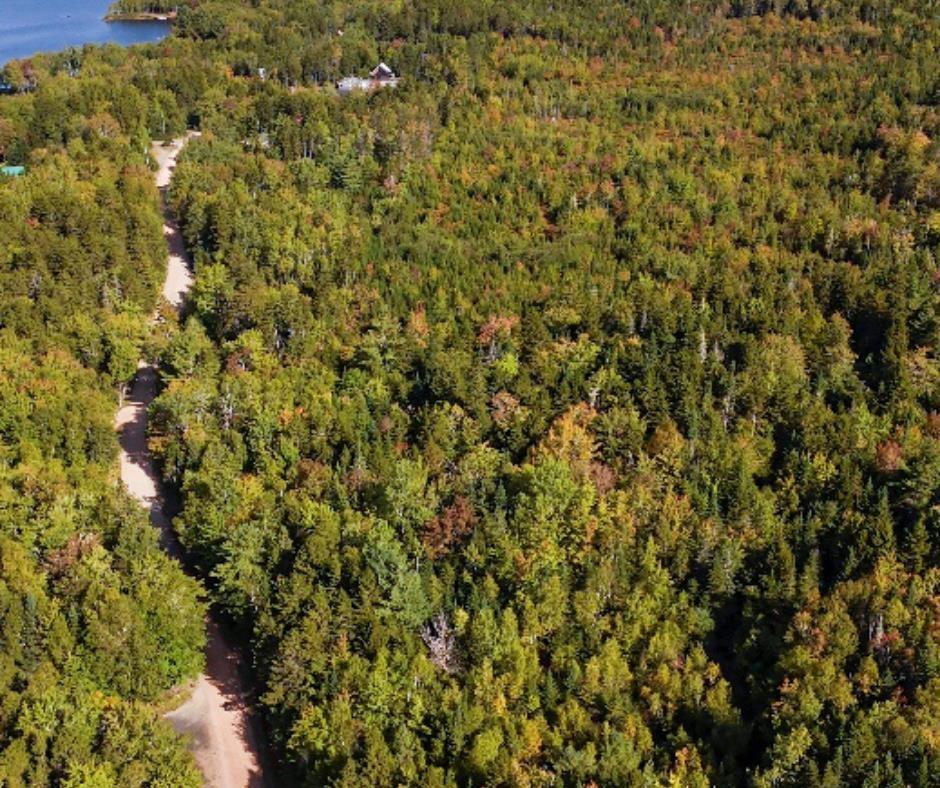 87-1 Falkenham Road, East Dalhousie, NS