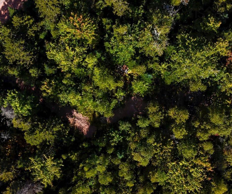 87-1 Falkenham Road, East Dalhousie, NS