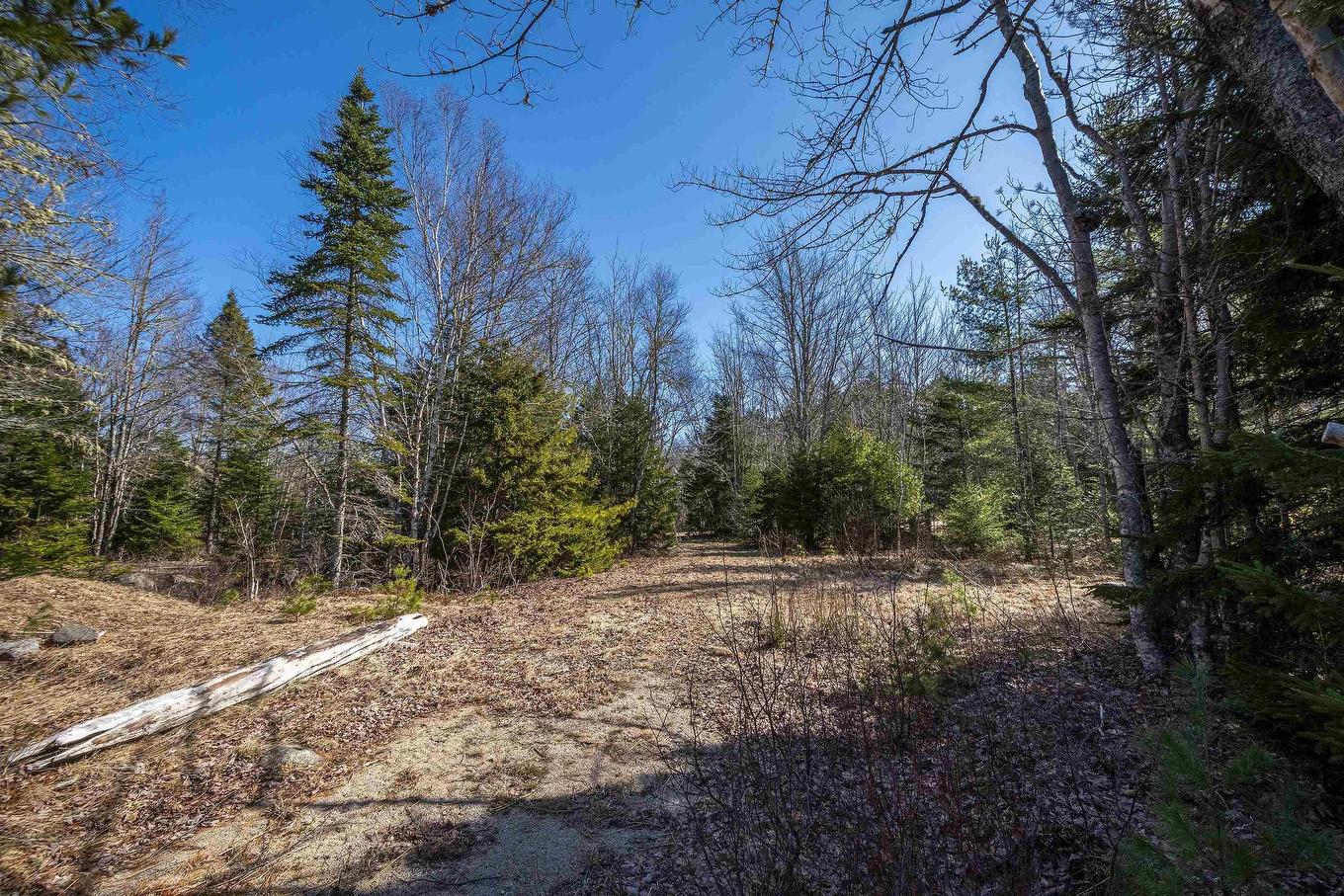 87-1 Falkenham Road, East Dalhousie, NS