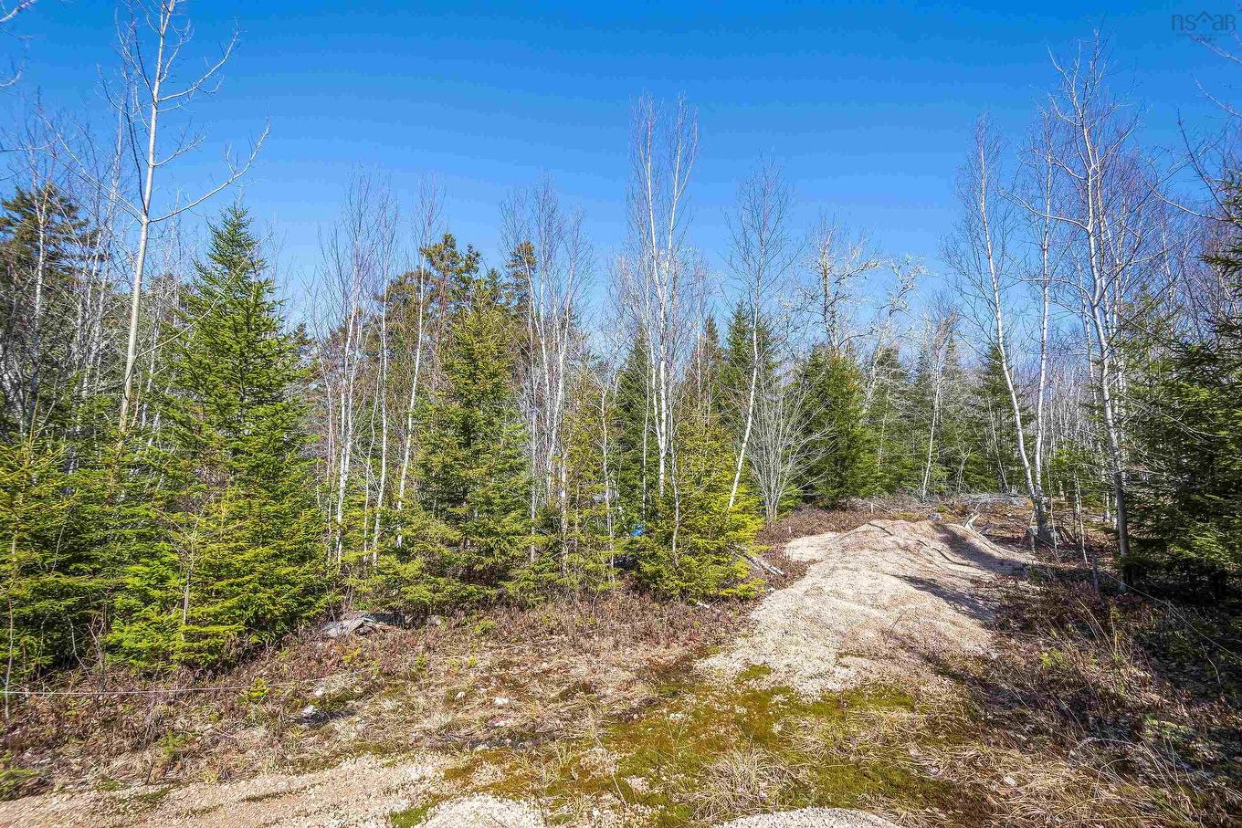 87-1 Falkenham Road, East Dalhousie, NS