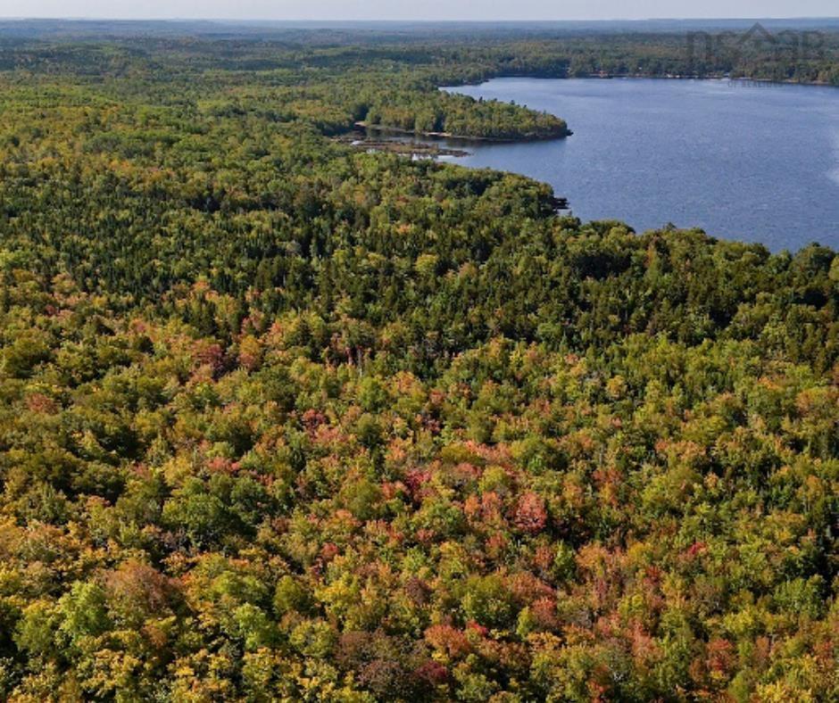 87-1 Falkenham Road, East Dalhousie, NS