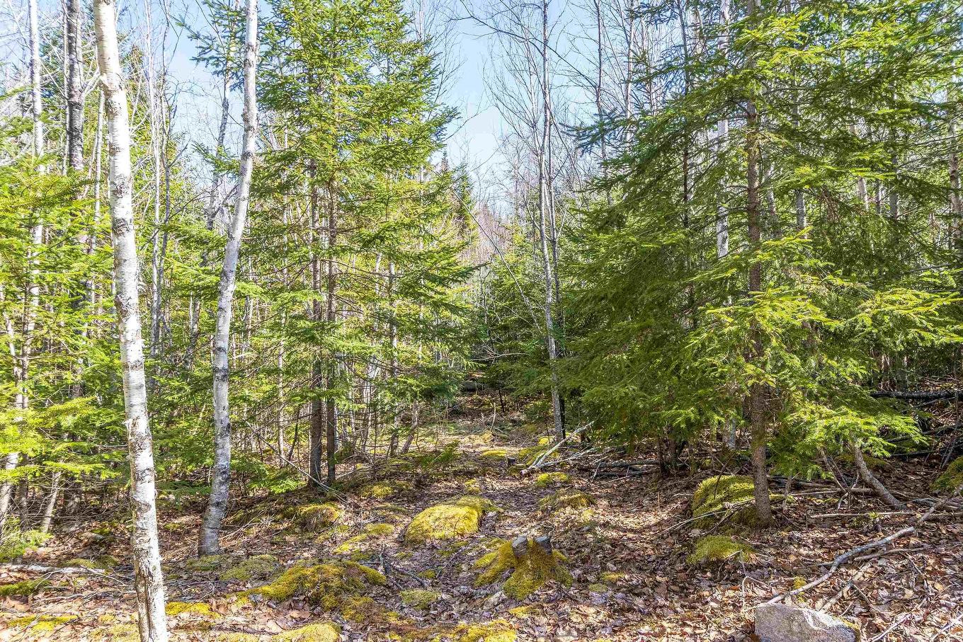 87-1 Falkenham Road, East Dalhousie, NS