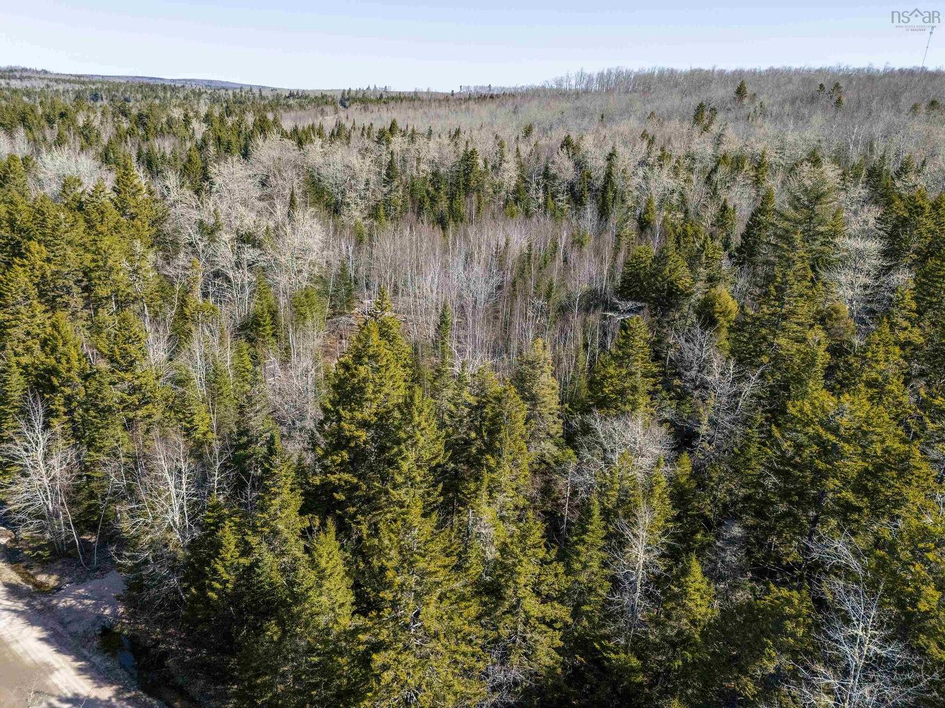 87-1 Falkenham Road, East Dalhousie, NS