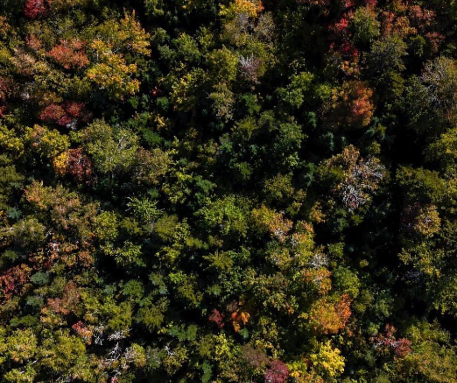 87-1 Falkenham Road, East Dalhousie, NS