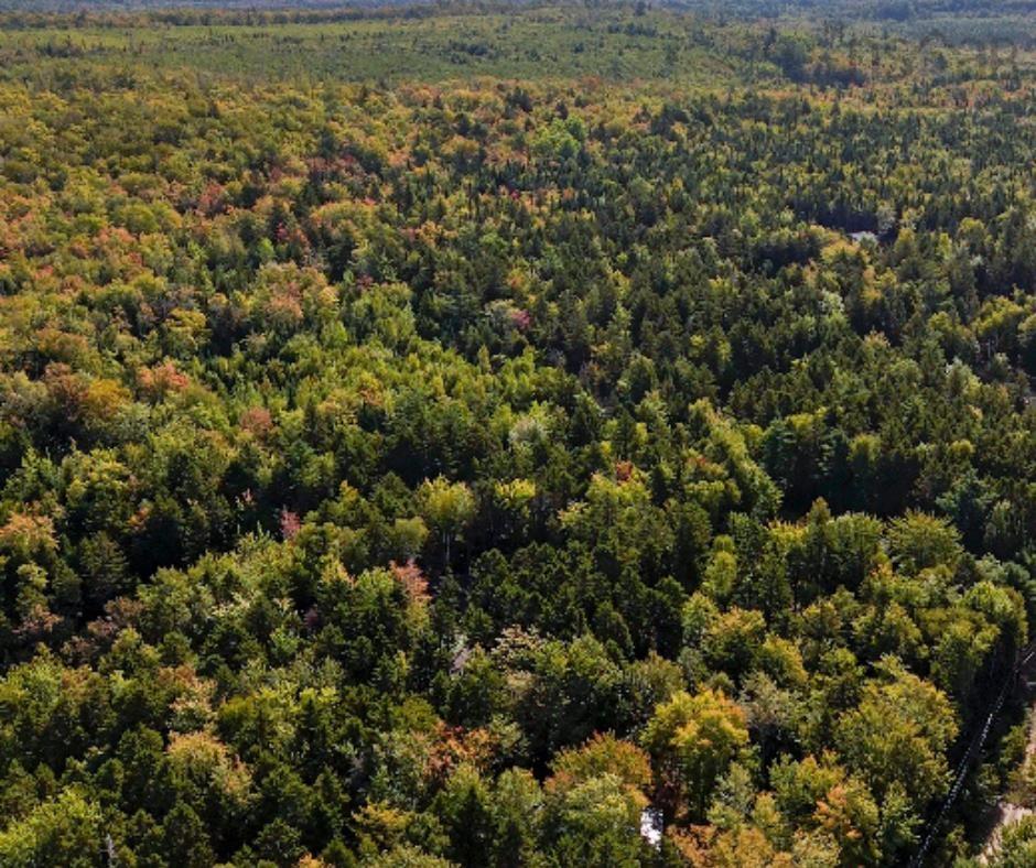 87-1 Falkenham Road, East Dalhousie, NS