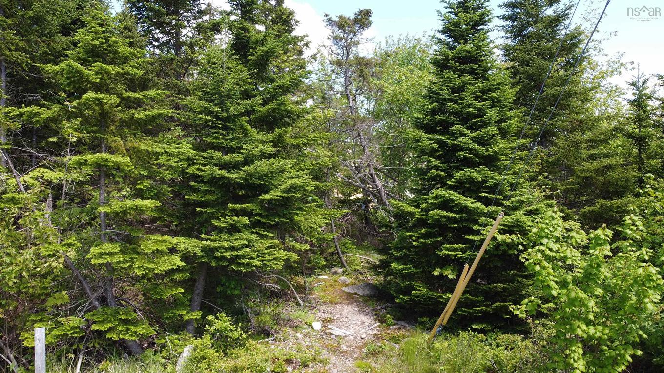 12 Dragonfly Lane, Herring Cove, NS