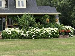 Sellers photo with Summer Blooms -