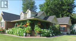 Sellers photo with Summer Blooms -