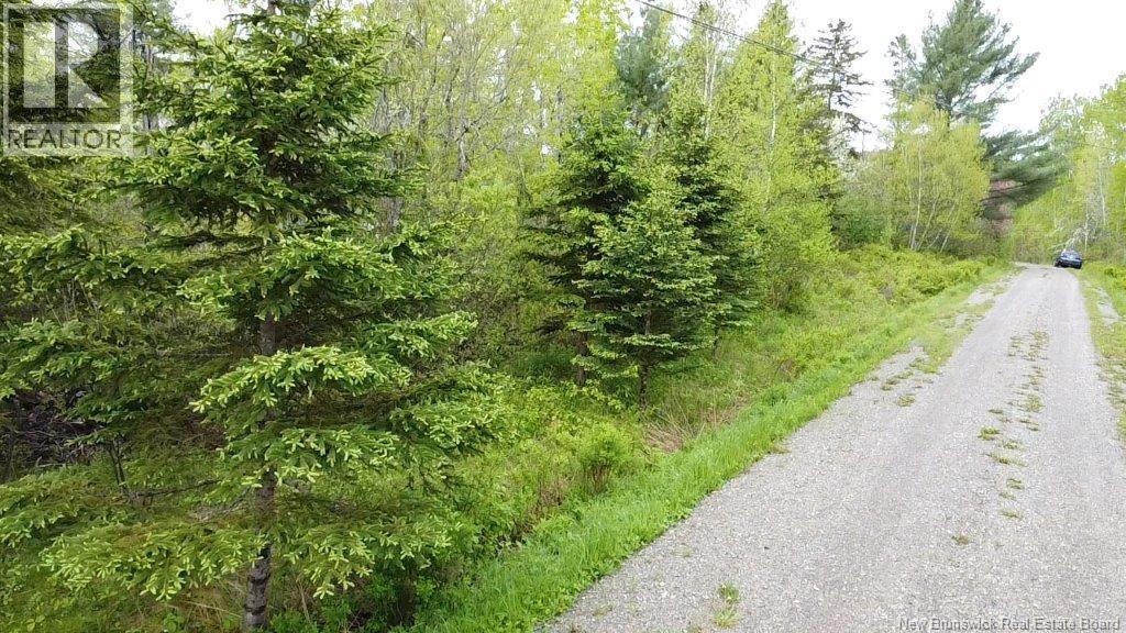 196 Ledge Road, Dufferin, NB