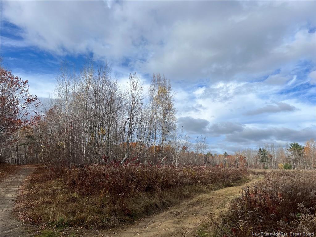 02 Hall Rd, Upper Mills, NB