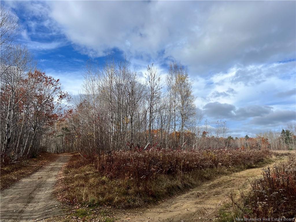 02 Hall Rd, Upper Mills, NB