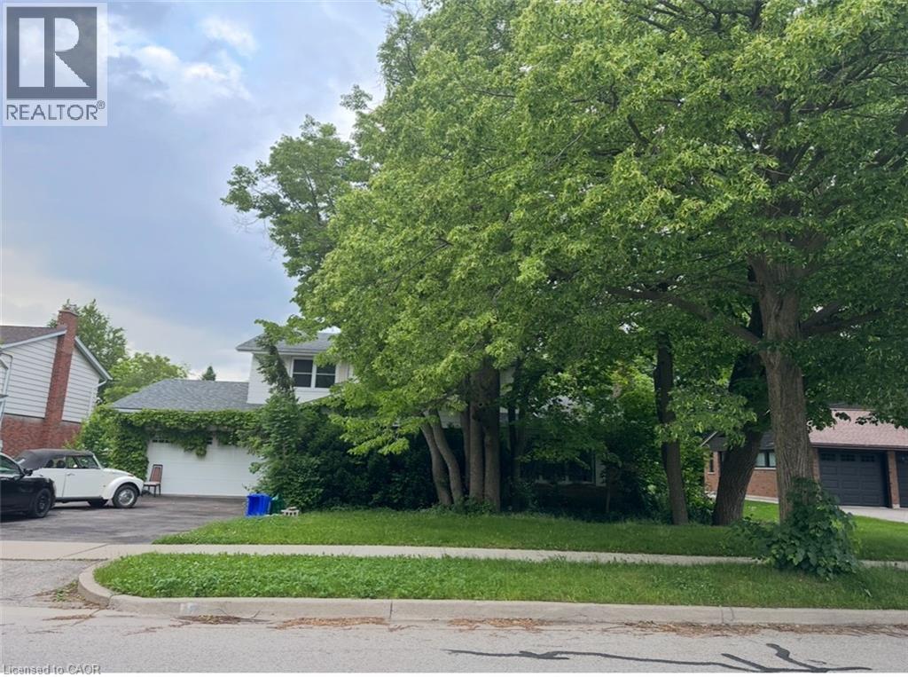 46 Birchcliff Avenue, Kitchener, ON - Outdoor