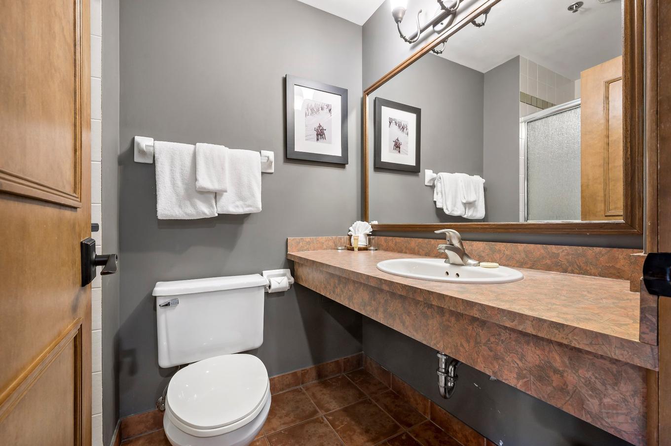 Bathroom - 338-2396 Rue Labelle, Mont-Tremblant, QC - Indoor Photo Showing Bathroom