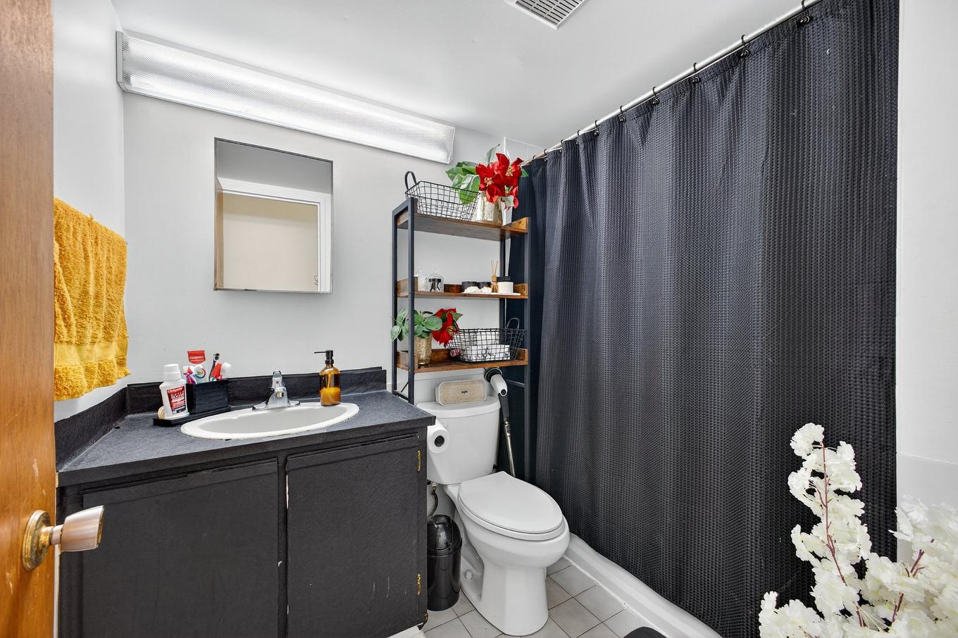 Bathroom - 1029 Rue De Salaberry, Montréal (Ahuntsic-Cartierville), QC