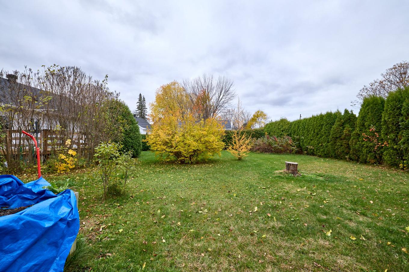 Backyard - 201 Rue Pétrus-Désilets, Nicolet, QC - Outdoor