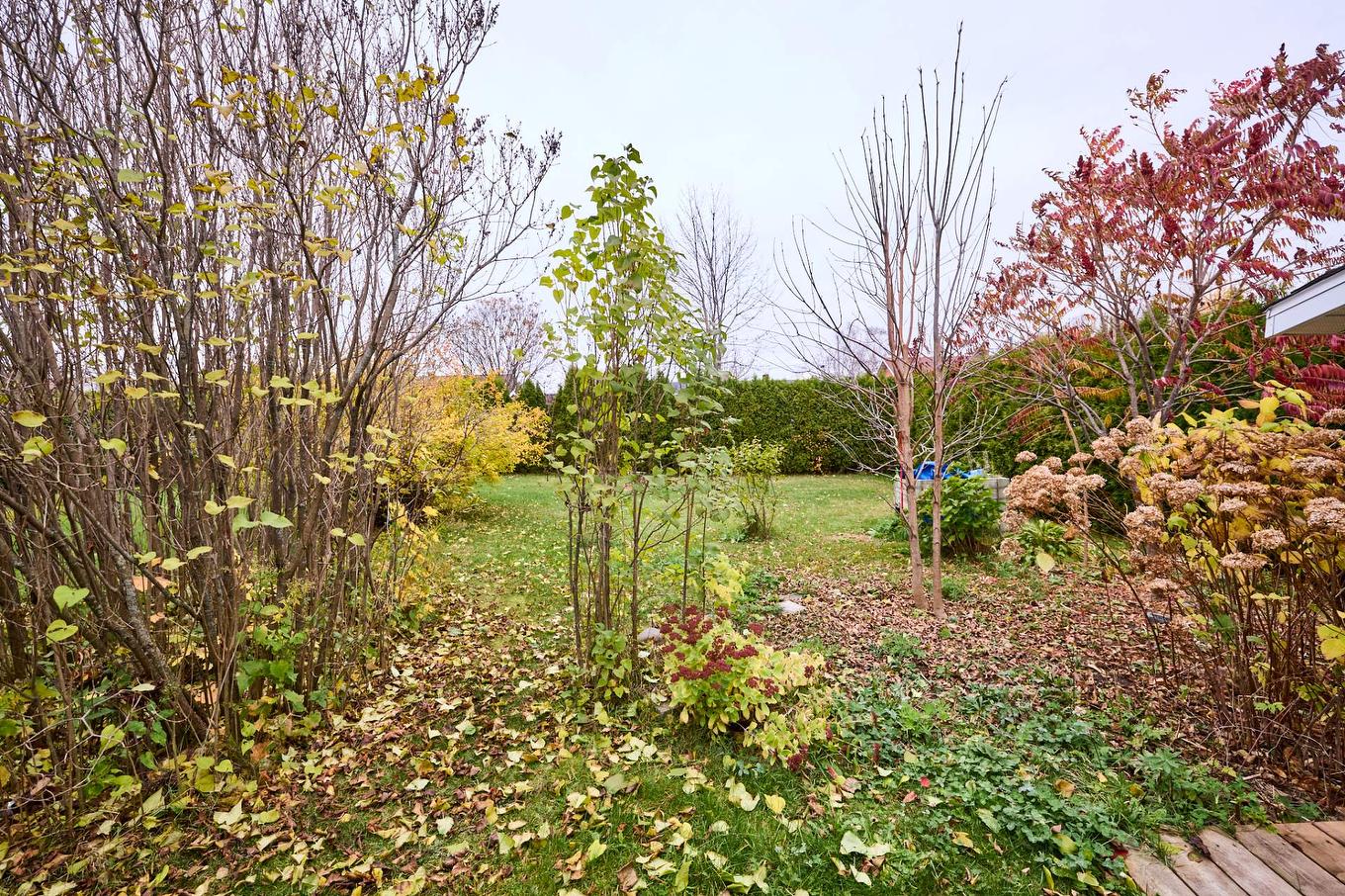 Backyard - 201 Rue Pétrus-Désilets, Nicolet, QC - Outdoor