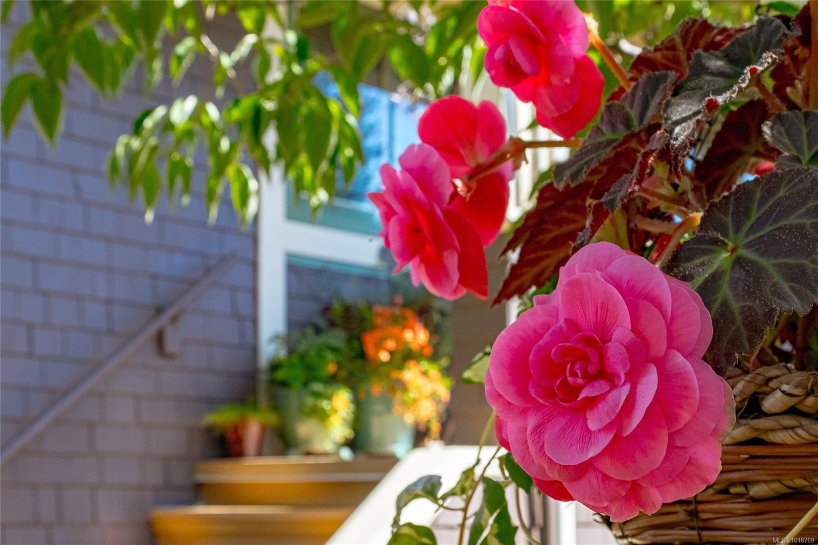 606 Niagara St, Victoria, BC