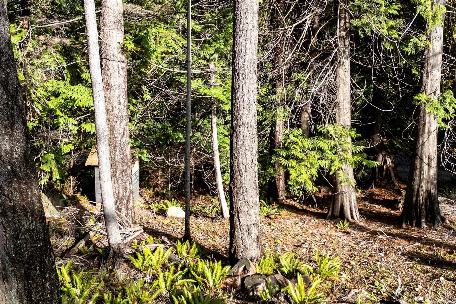 403 Whaletown Rd, Cortes Island, BC