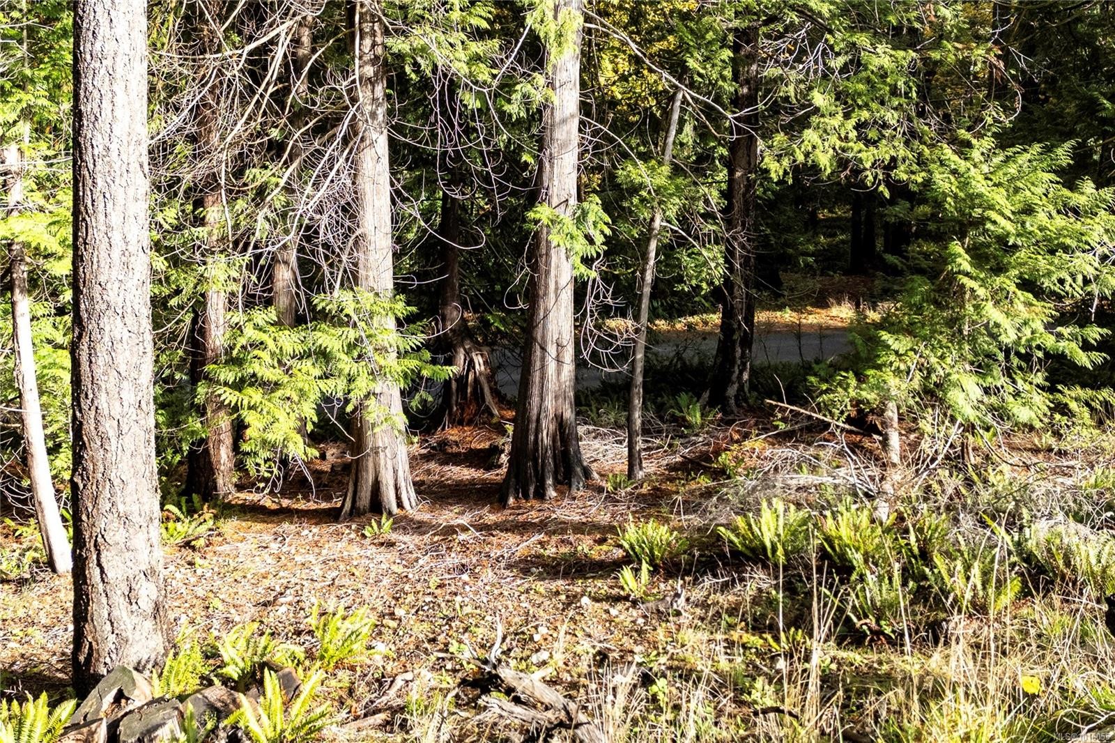 403 Whaletown Rd, Cortes Island, BC