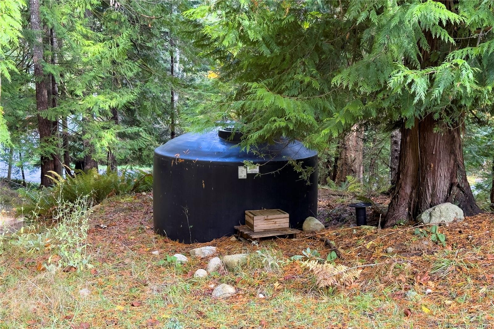 403 Whaletown Rd, Cortes Island, BC