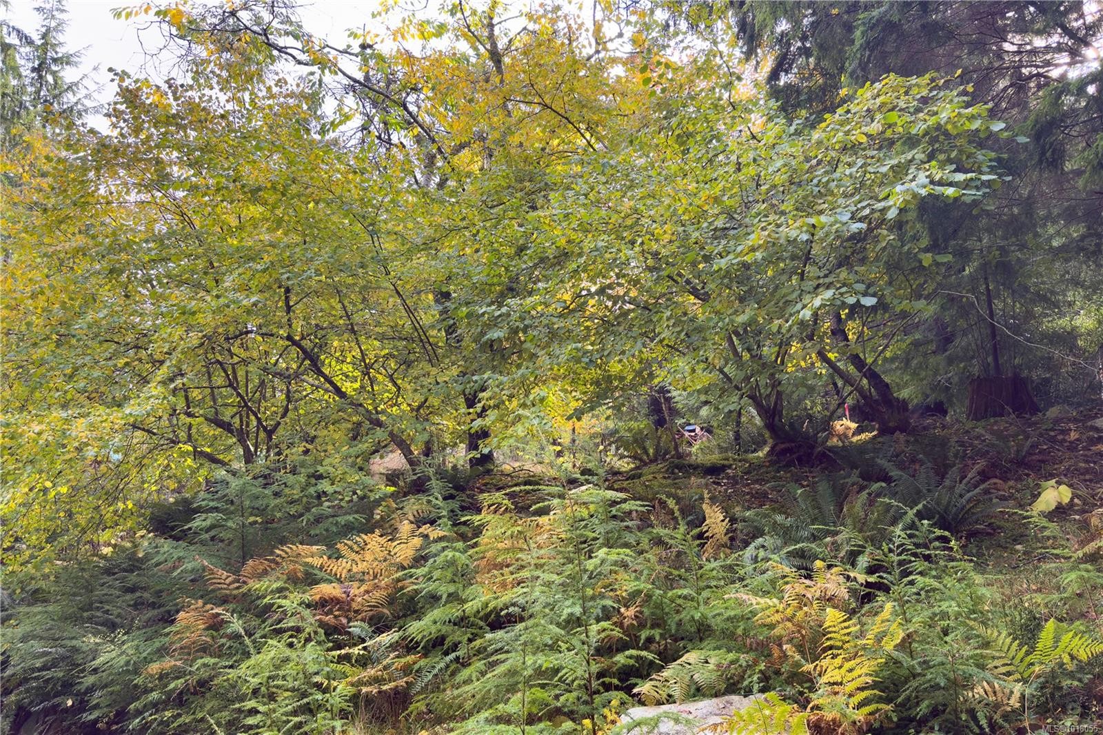 403 Whaletown Rd, Cortes Island, BC