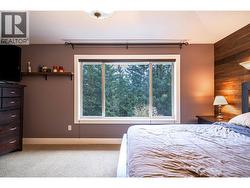 serene forest view from bright south windows -