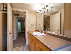 full bathroom /basement level -