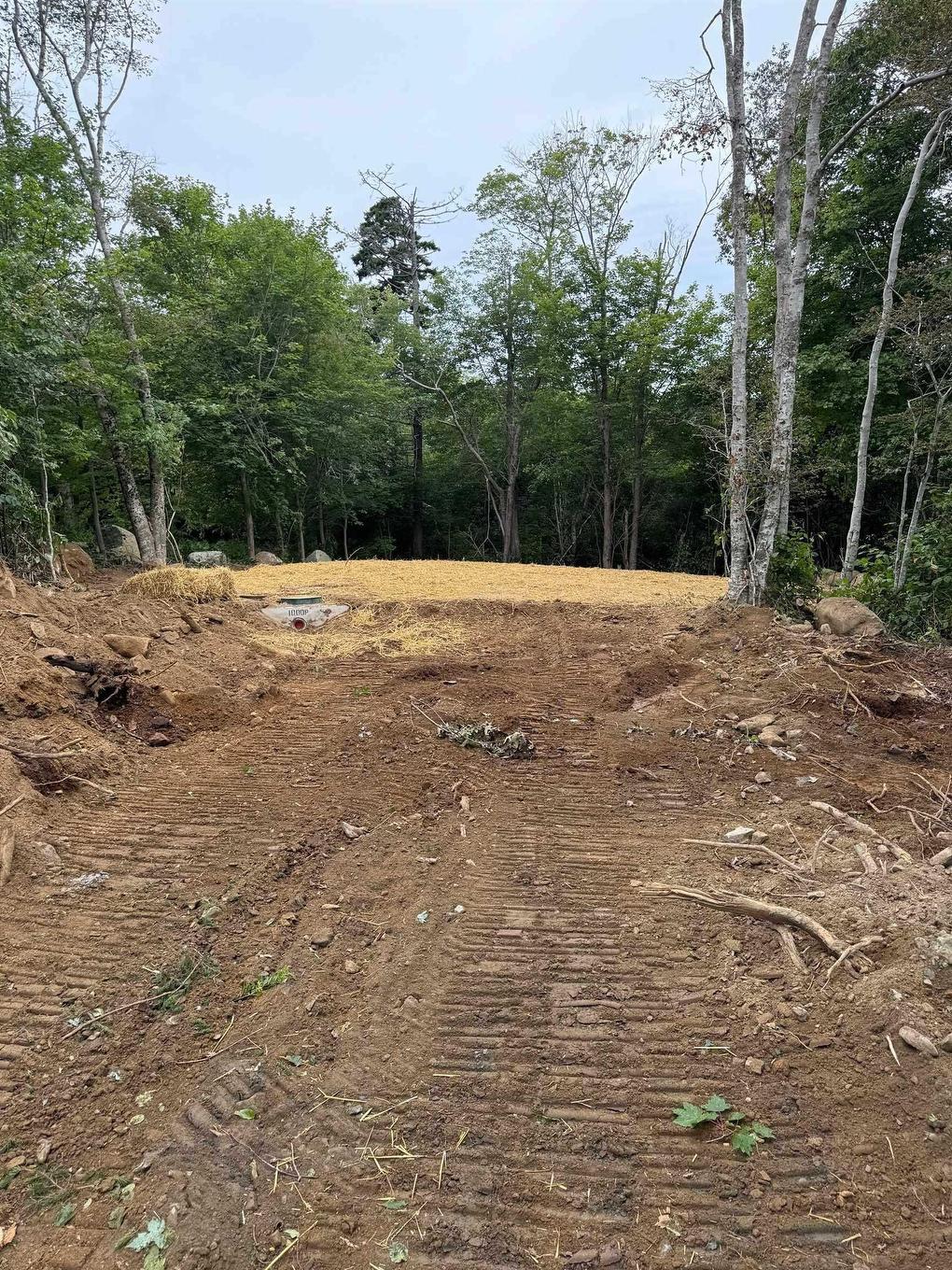 Lot 6 Highway 7, Westphal, NS