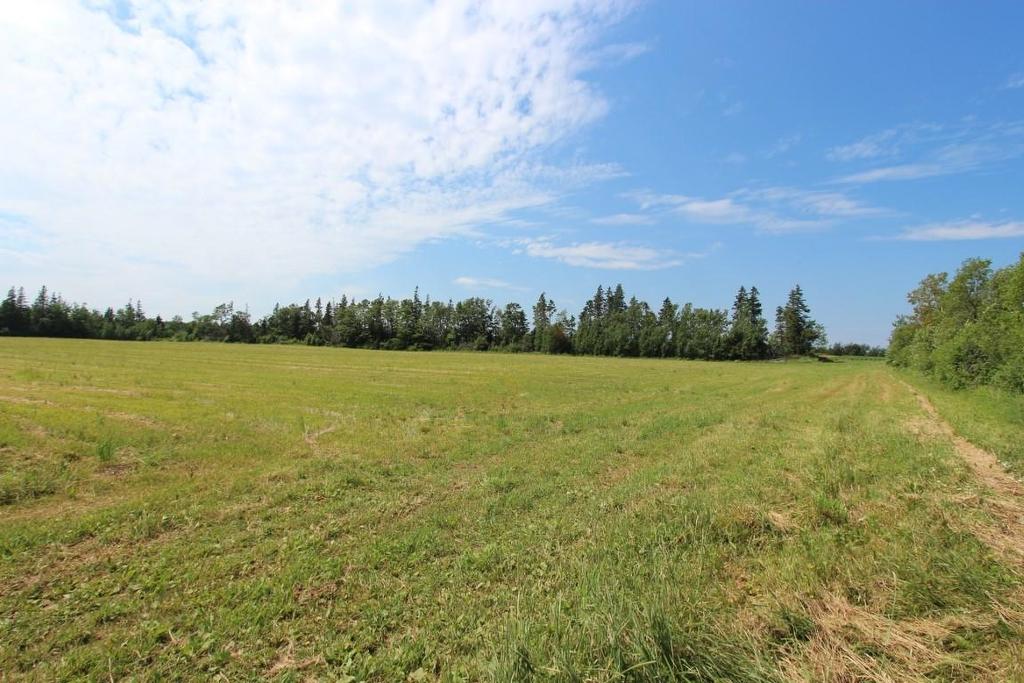 Route 20, Springbrook, PE