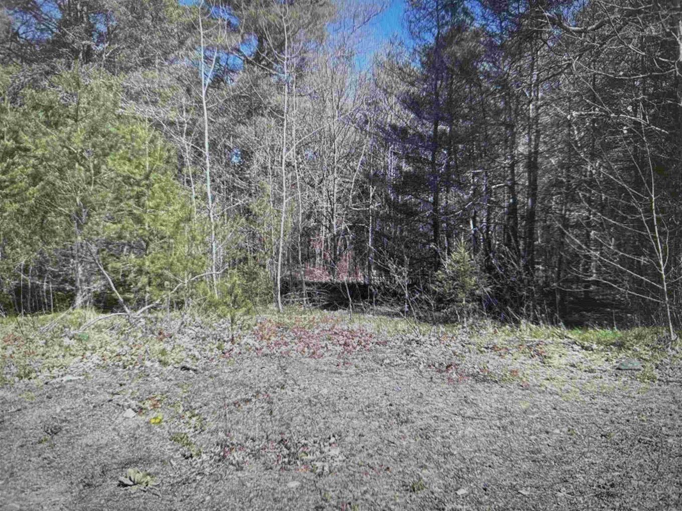 Lot 2B Main Street, Kingston, NS