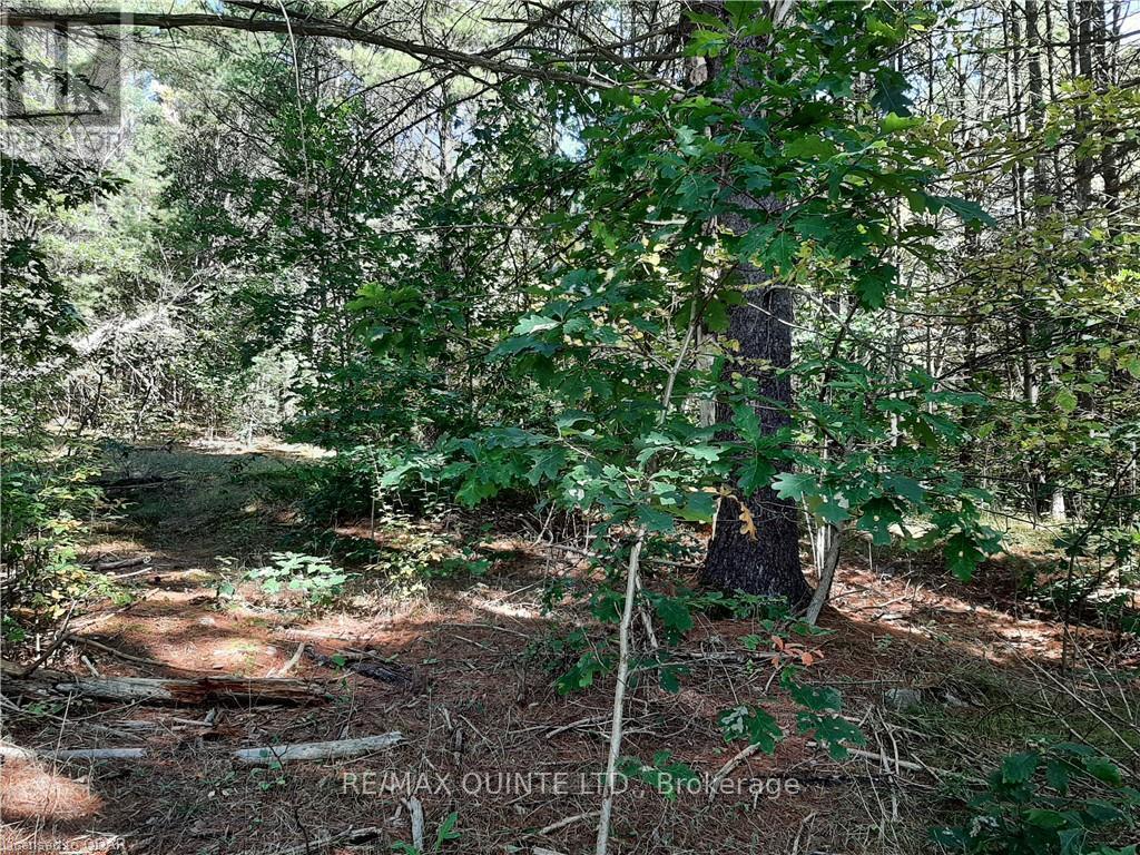 0 Pt Lt12 Con14 Hwy 37 Road, Tweed (Hungerford (Twp)), ON