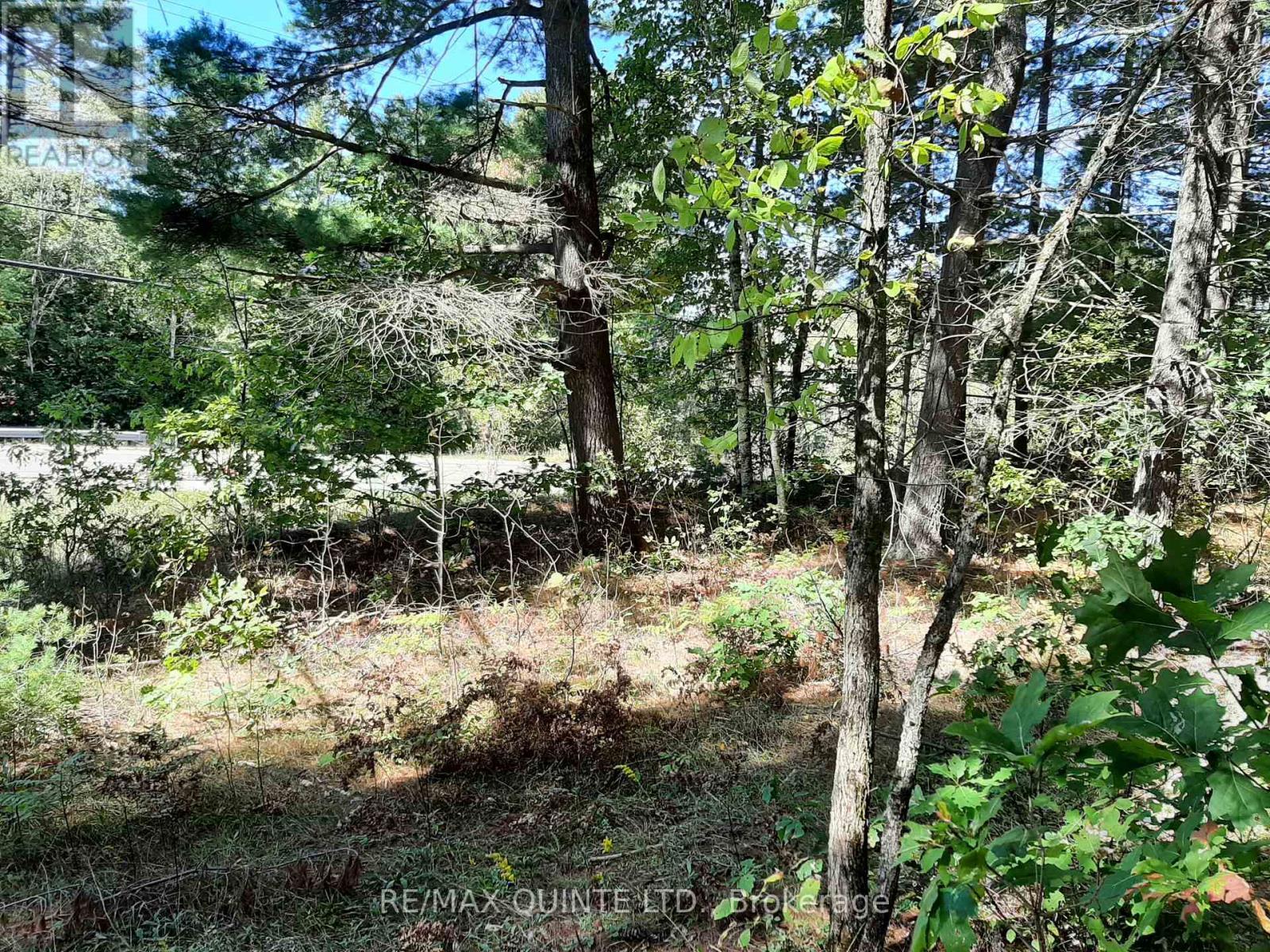 0 Pt Lt12 Con14 Hwy 37 Road, Tweed (Hungerford (Twp)), ON