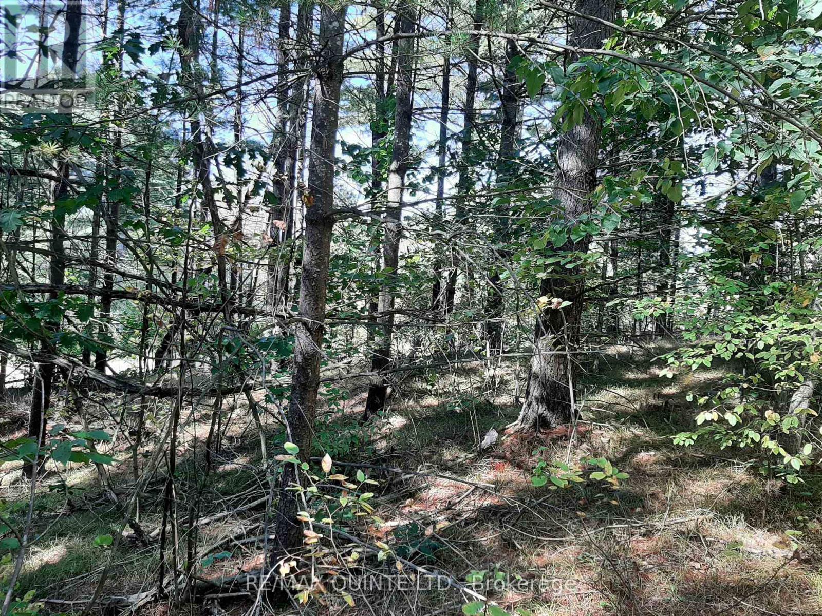 0 Pt Lt12 Con14 Hwy 37 Road, Tweed (Hungerford (Twp)), ON