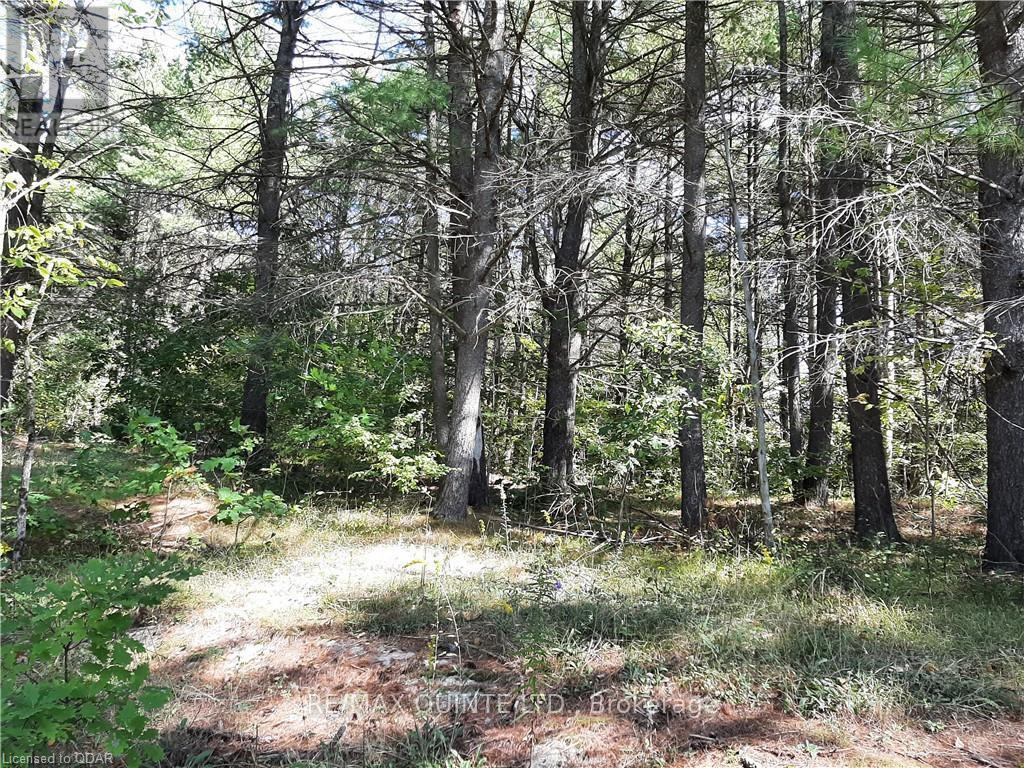 0 Pt Lt12 Con14 Hwy 37 Road, Tweed (Hungerford (Twp)), ON