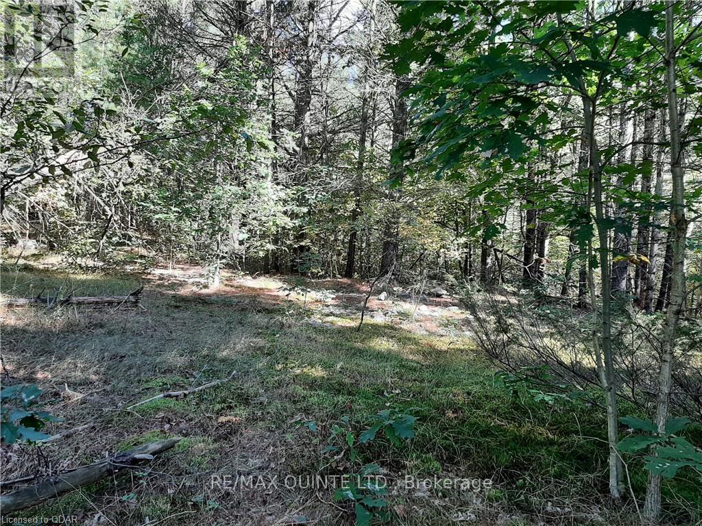 0 Pt Lt12 Con14 Hwy 37 Road, Tweed (Hungerford (Twp)), ON