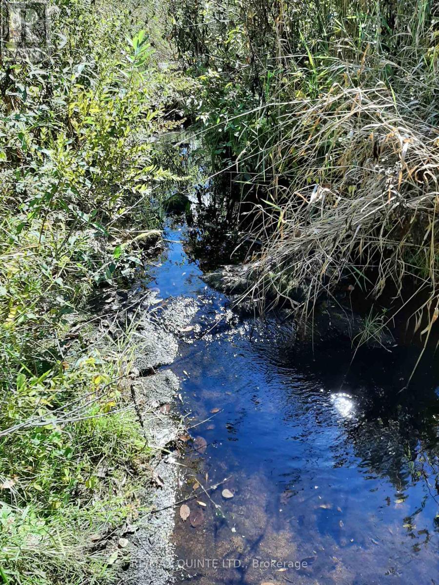 0 Pt Lt12 Con14 Hwy 37 Road, Tweed (Hungerford (Twp)), ON