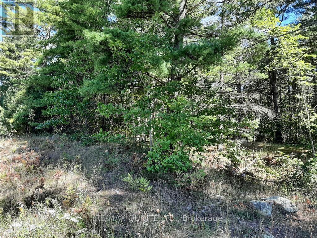 0 Pt Lt12 Con14 Hwy 37 Road, Tweed (Hungerford (Twp)), ON