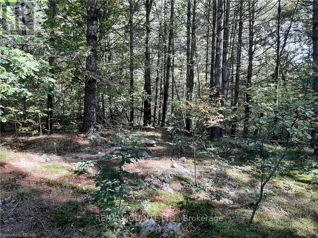 0 Pt Lt12 Con14 Hwy 37 Road, Tweed (Hungerford (Twp)), ON