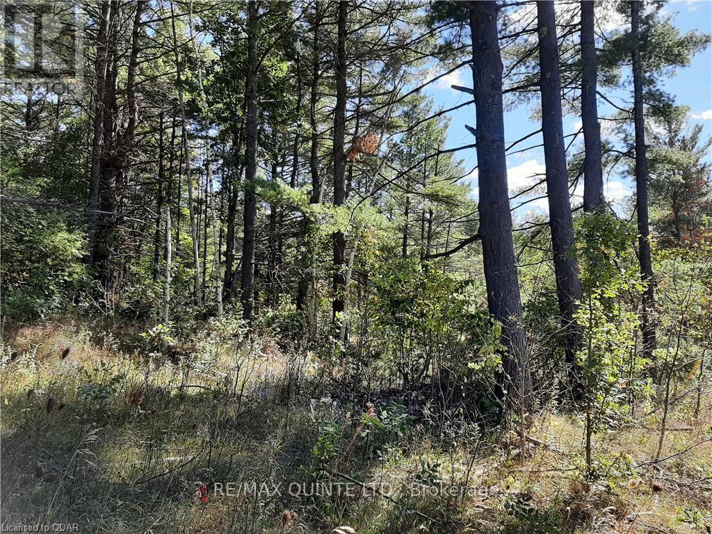 0 Pt Lt12 Con14 Hwy 37 Road, Tweed (Hungerford (Twp)), ON