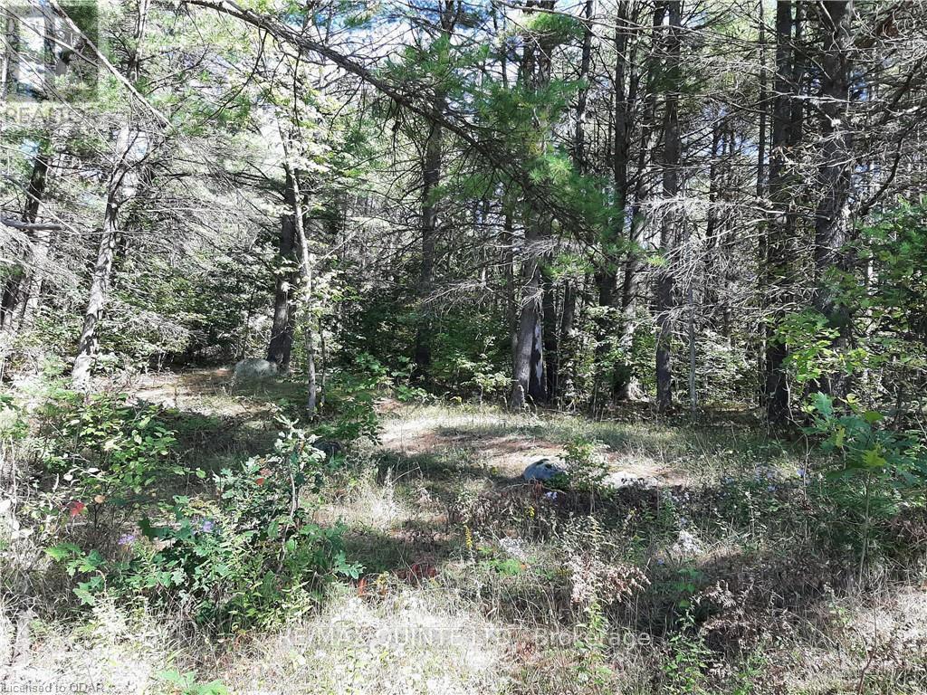 0 Pt Lt12 Con14 Hwy 37 Road, Tweed (Hungerford (Twp)), ON