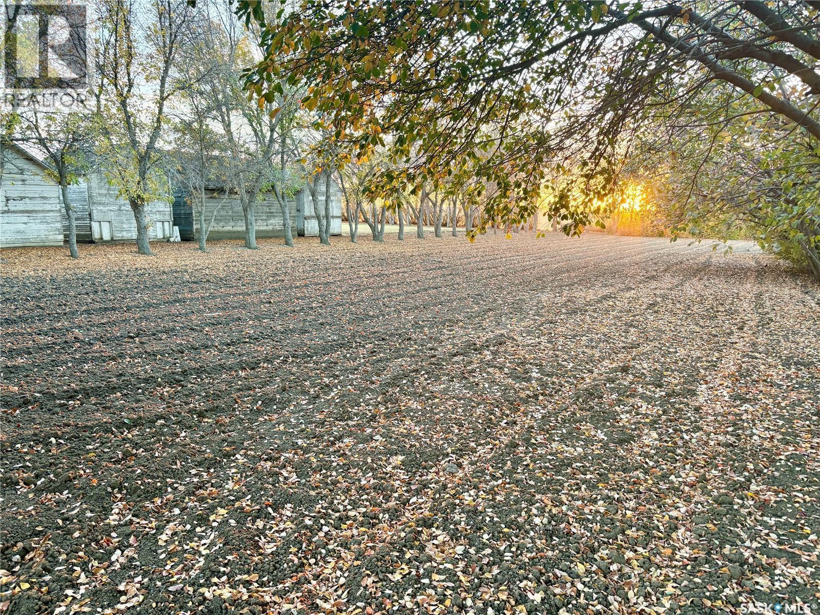 Wiseton Martin Acreage, Milden Rm No. 286, SK - Outdoor