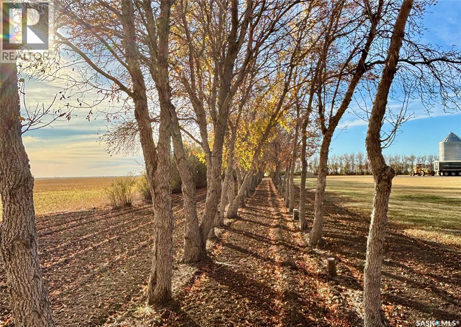 Wiseton Martin Acreage, Milden Rm No. 286, SK - Outdoor With View