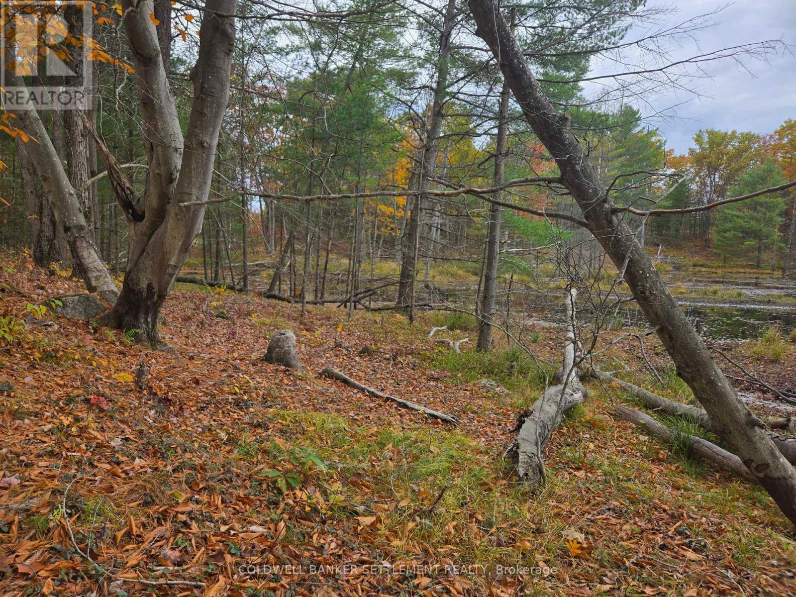 0 Cranberry Lake Road, Frontenac (Frontenac Centre), ON