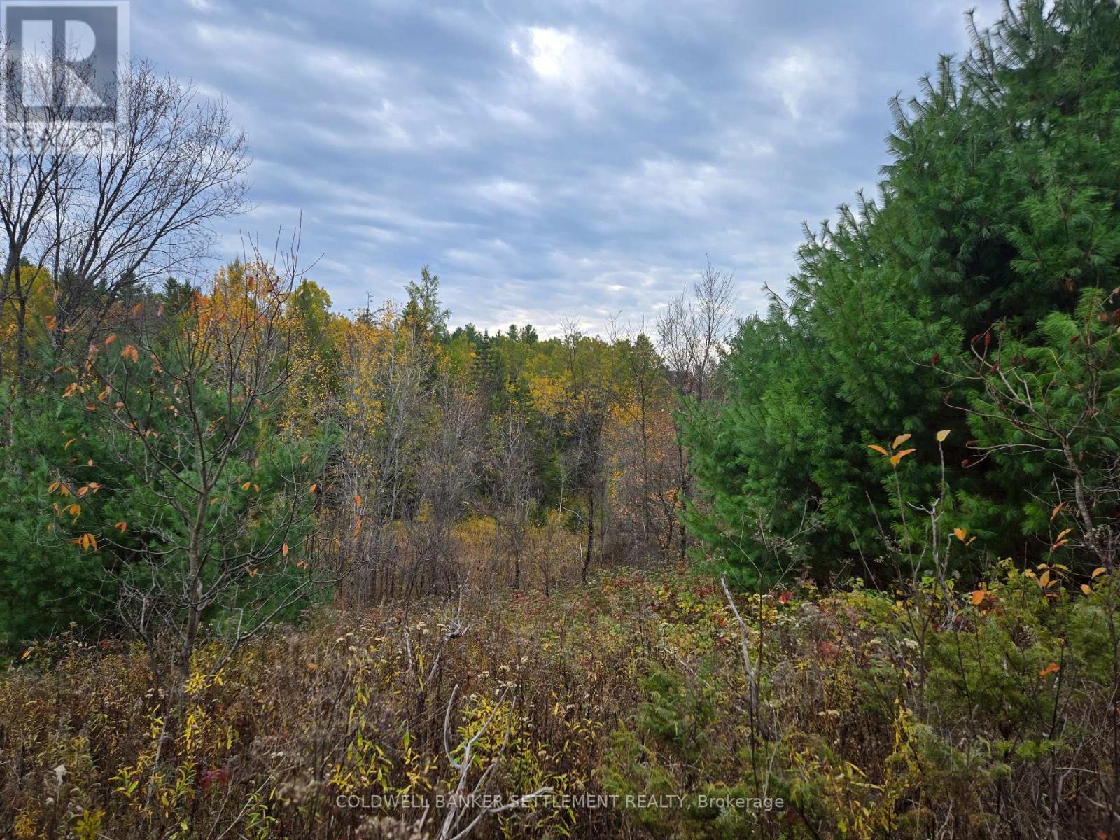 0 Cranberry Lake Road, Frontenac (Frontenac Centre), ON